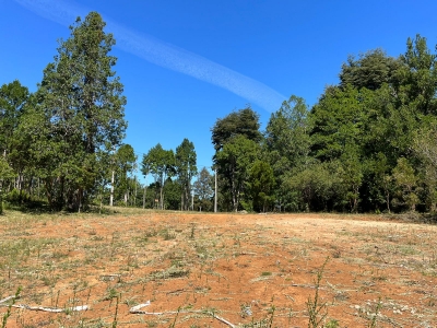 Venta-de-Parcela-en-Valdivia-Santo-Domingo